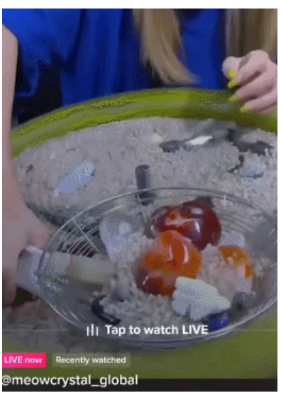 全面禁止铲播！风靡TikTok的“直播淘金”曾有多火？