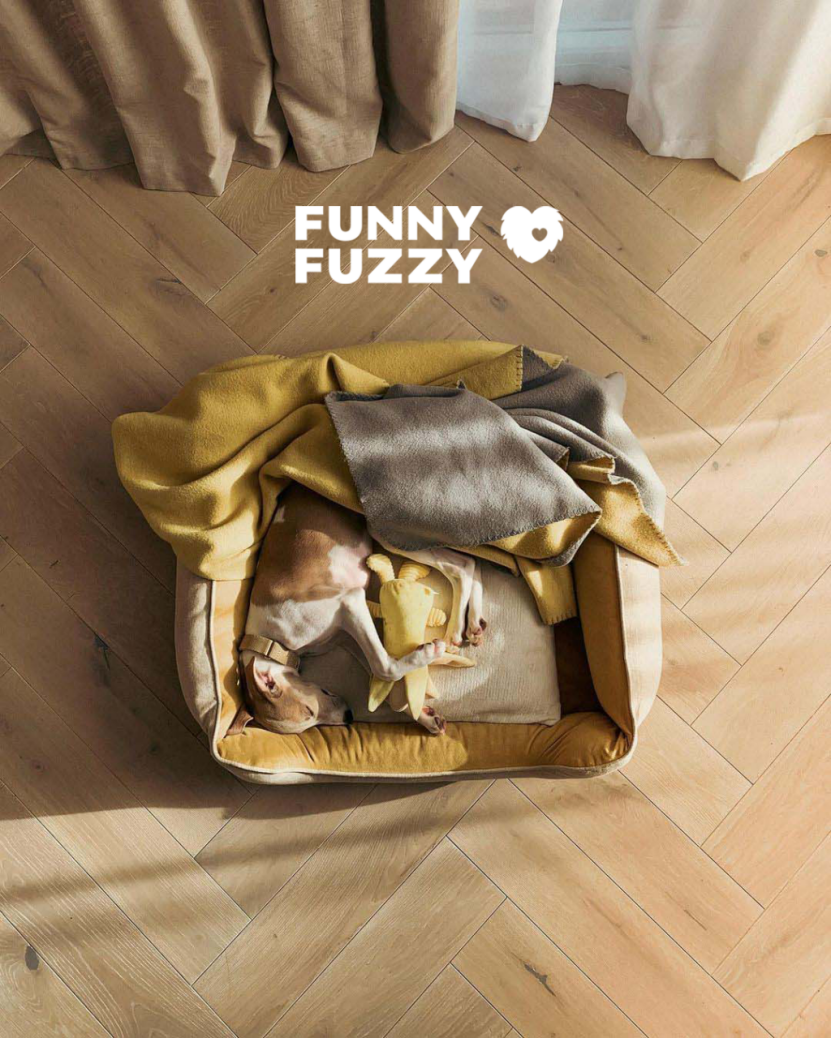 对话FUNNYFUZZY创始人陈硕：下一个电商红利是生成式AI
