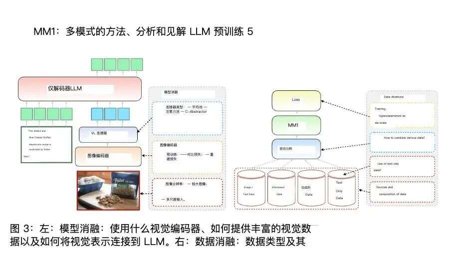 苹果300亿参数大模型首亮相，还买了家AI公司