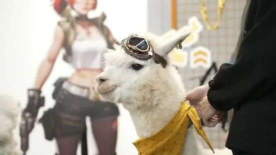 私域神器周报 No.46丨Savvy豪掷49亿美元收购手游公司Scopely；意大利成首个禁止ChatGPT的西方国家