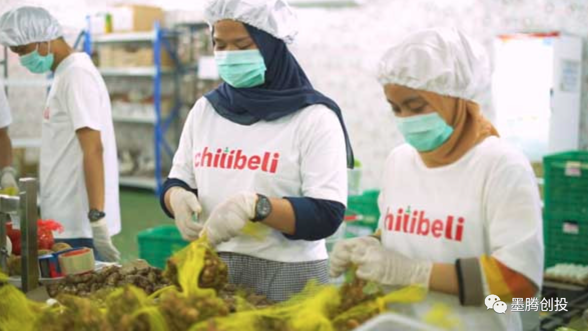 私域神器资讯晨报：新游产品找发行大合集新版第一期出炉！日本"测测星座"称霸生活品类榜单，源于焦虑；CDPR证实正在开发《巫师》新作，使用虚幻5引擎；互联网巨头“海外会战”Web3；新加坡社区团购公司WeBuy收购印尼Chilibeli。