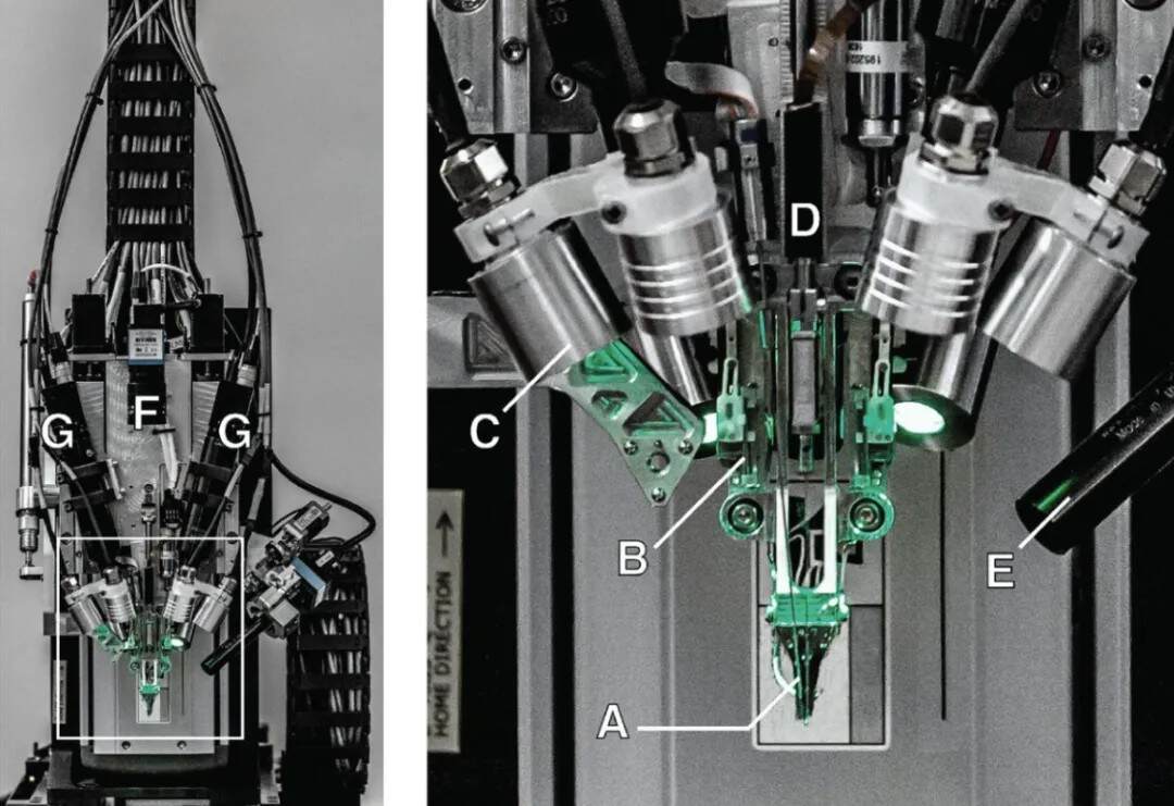 让患者用意念打游戏，除了马斯克Neuralink，他们也能做到