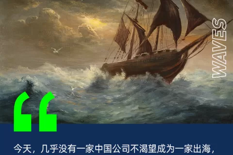 新出海时代：中国创始人，征战全世界
