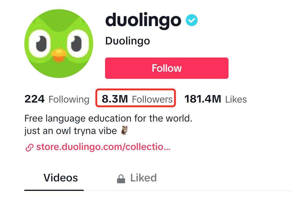 TikTok正在成为海外教育科技的营销阵地