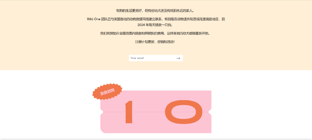 牵狗绳创收千万美金！WILD ONE如何打造网红宠物品牌？