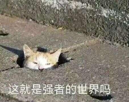 国产手机出海，拿啥跟苹果、三星玩？