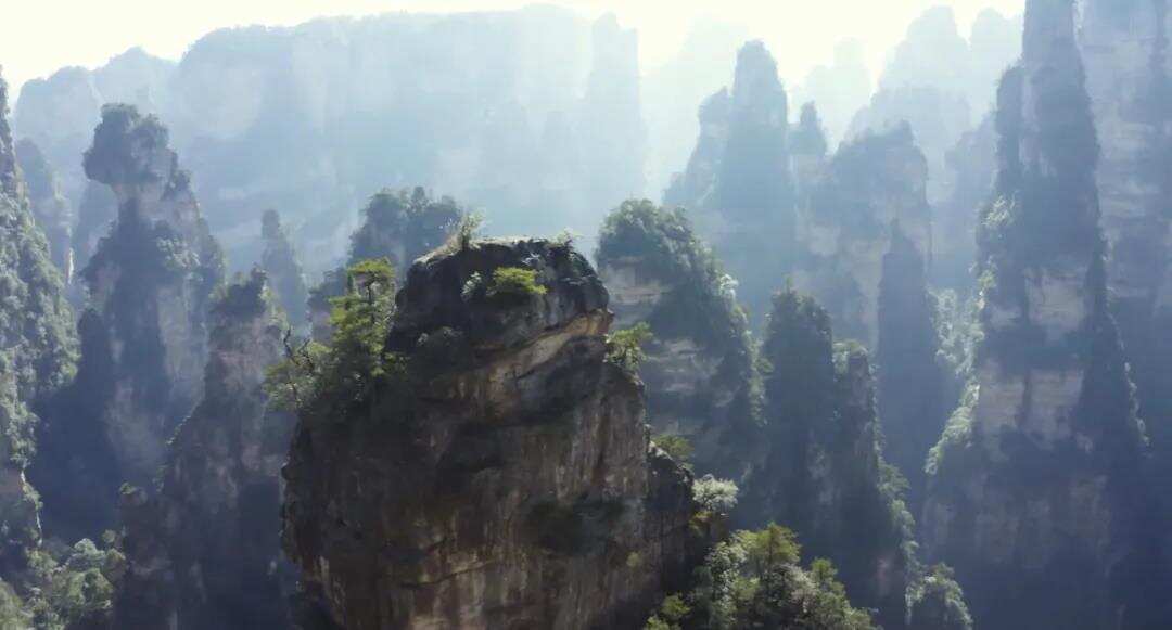 当腾讯最成功的MMO开始研究开放世界