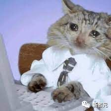 谷歌Bard支持中文了！十级过关，看懂梗图，直接上手免费体验