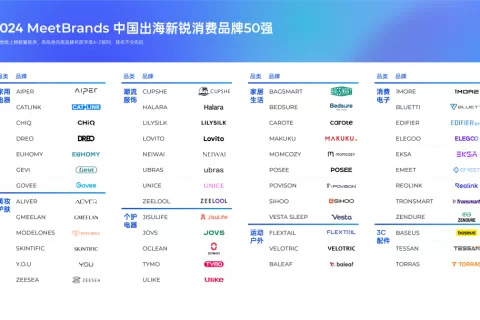 洞悉变局中的机会 品牌出海构建向上生长之道 | 2024全球化新锐品牌数字营销峰会回顾