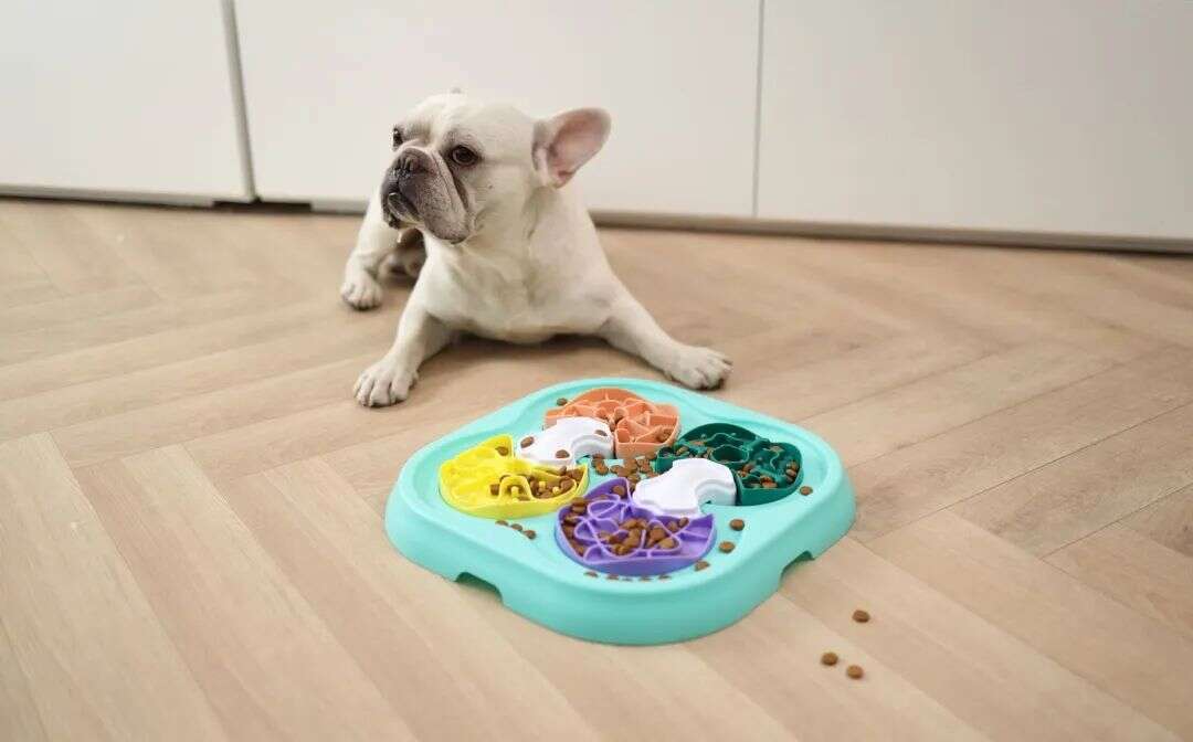 从家族工厂到上市大卖！天元宠物国内买地、海外建厂