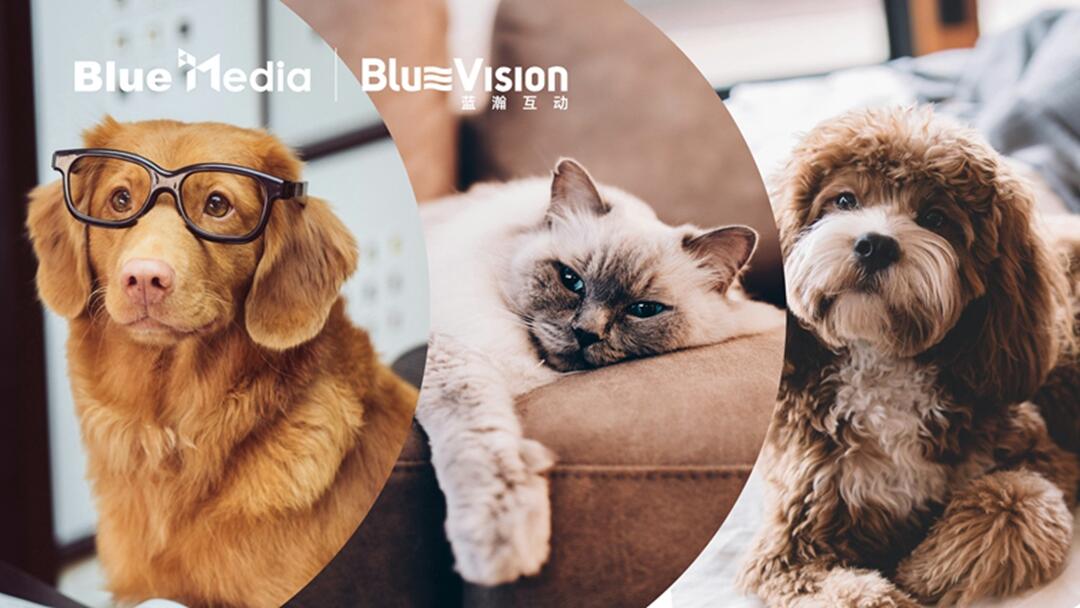 蓝瀚洞察｜“育儿式”养宠流行，千亿宠物出海市场迈向多元化