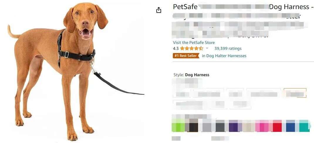 2天卖出0万，这一超级大卖在亚马逊爆红！