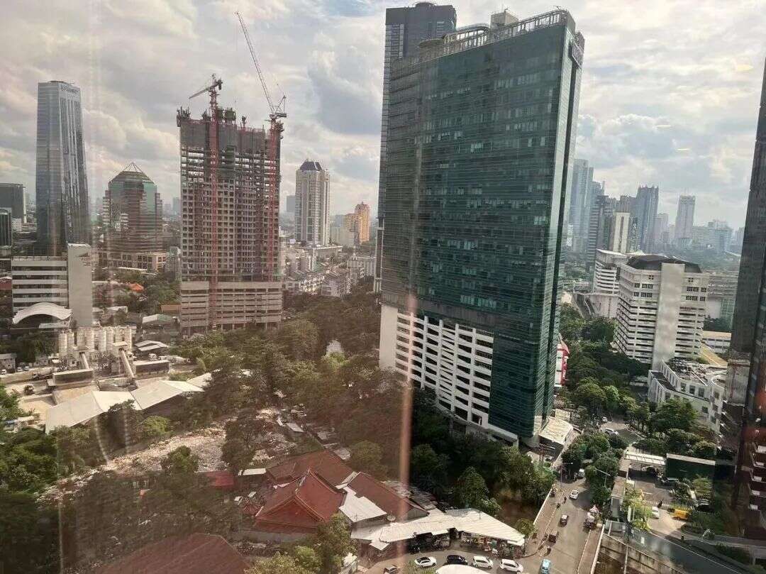 去东南亚找增长洼地！看到希望，看到虚妄