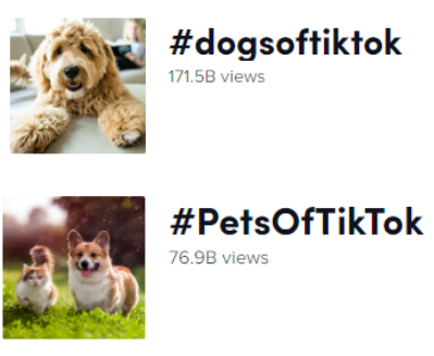 单话题破千亿曝光！TikTok上的小萌物撬动大商机？