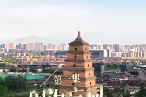 麦当劳拍短剧疑云：媒体称是自制，却有承制方现身发声！
