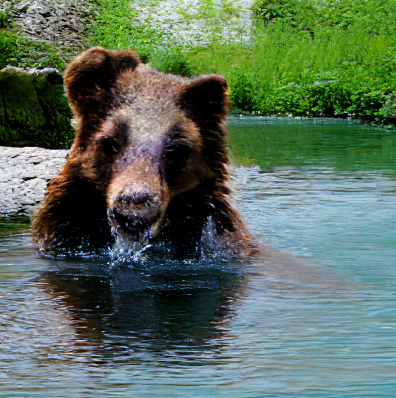 10余家大厂争做ChatGPT，谁是有实力，谁在蹭热度？