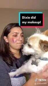 单话题破千亿曝光！TikTok上的小萌物撬动大商机？