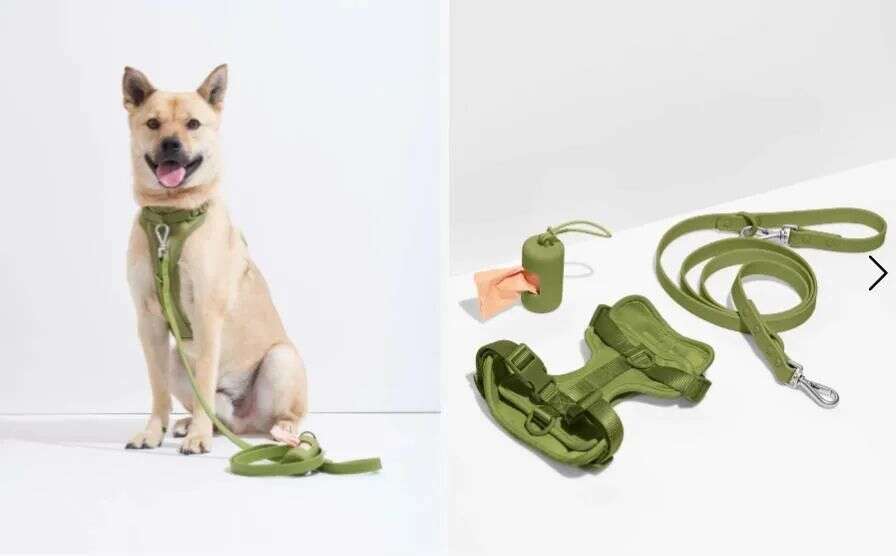 2天卖出0万，这一超级大卖在亚马逊爆红！