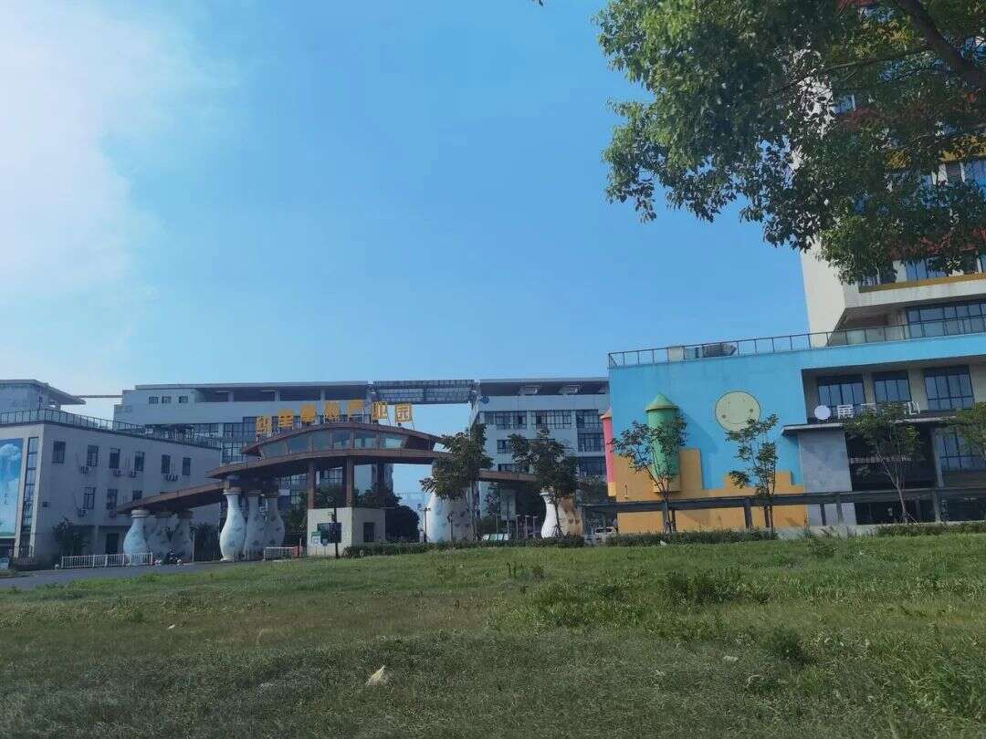 700亿魔幻新生意：直播唯快不破少人知，库存甩到东南亚受欢迎