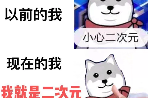 二次元SLG大有可为……吗？