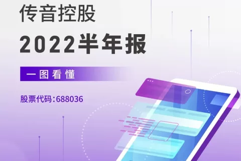 一图看懂传音控股2022半年报
