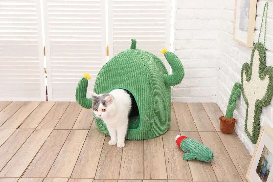 从家族工厂到上市大卖！天元宠物国内买地、海外建厂