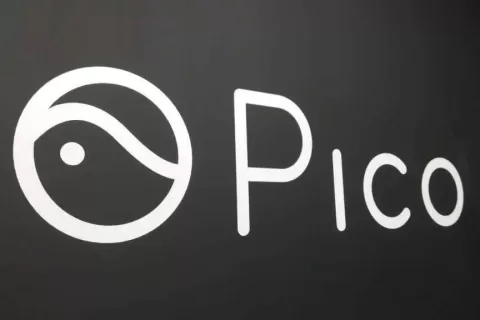 PICO 向左向右的400天