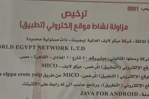 独家消息：埃及联合阿盟整顿海外社交产品，计划封禁无牌照APP