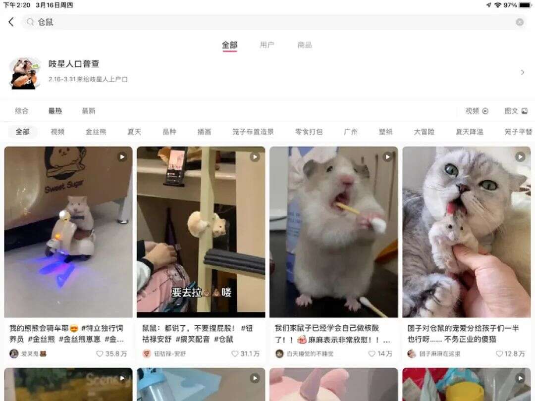 “小宠经济”大热！布卡星如何抢占百亿蓝海市场？