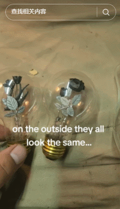 一个卖500美元！这灯泡在TikTok爆红