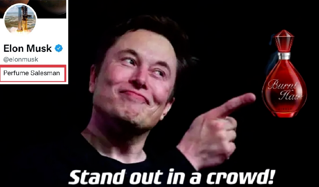 私域神器周报 No.27丨苹果正式允许NFT应用上架iOS、马斯克正式接管推特 一起看更多出海圈大事件