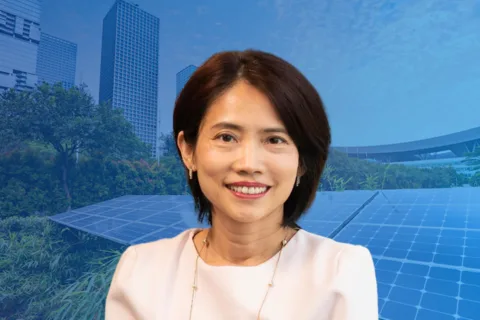 东南亚太阳能投资者的展望