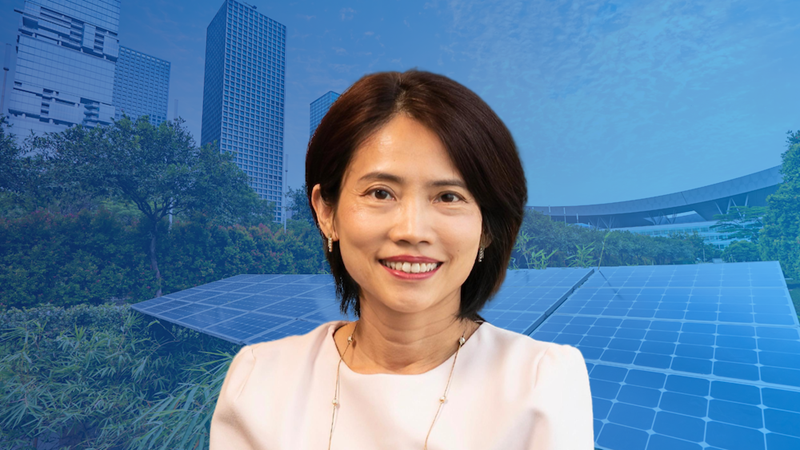 东南亚太阳能投资者的展望