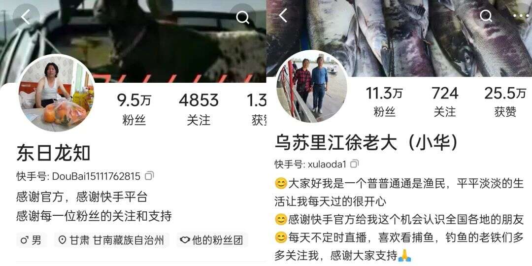 换一个角度看快手