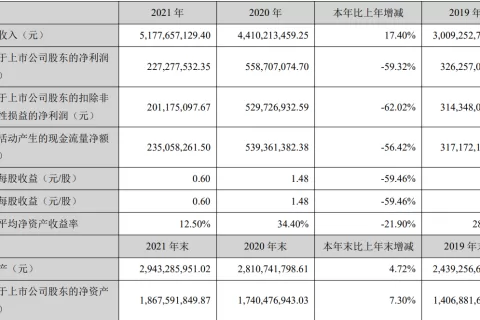 东南亚独立站大卖营收超50亿，净利润下降近60%