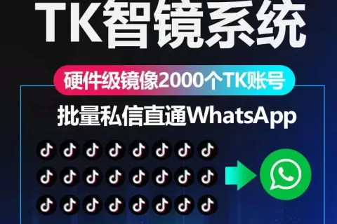 1 套系统 = 2000 手机！TikTok 爆单利器了解一下！