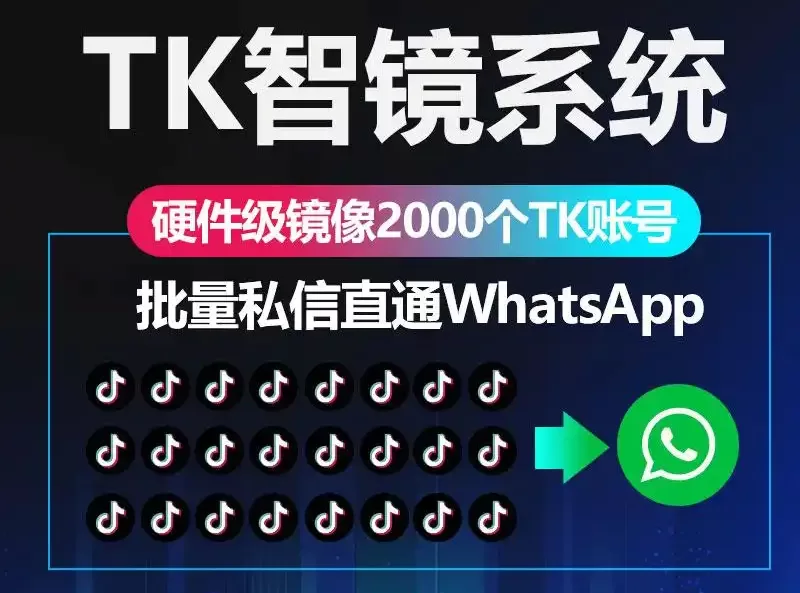 1 套系统 = 2000 手机！TikTok 爆单利器了解一下！