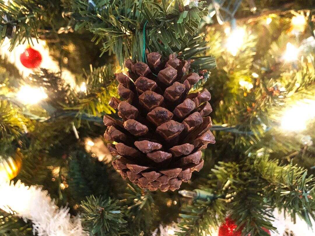 热点趋势|搜索量飙升160%！人造圣诞树玩出新花样，半棵树、粉色树走红TikTok