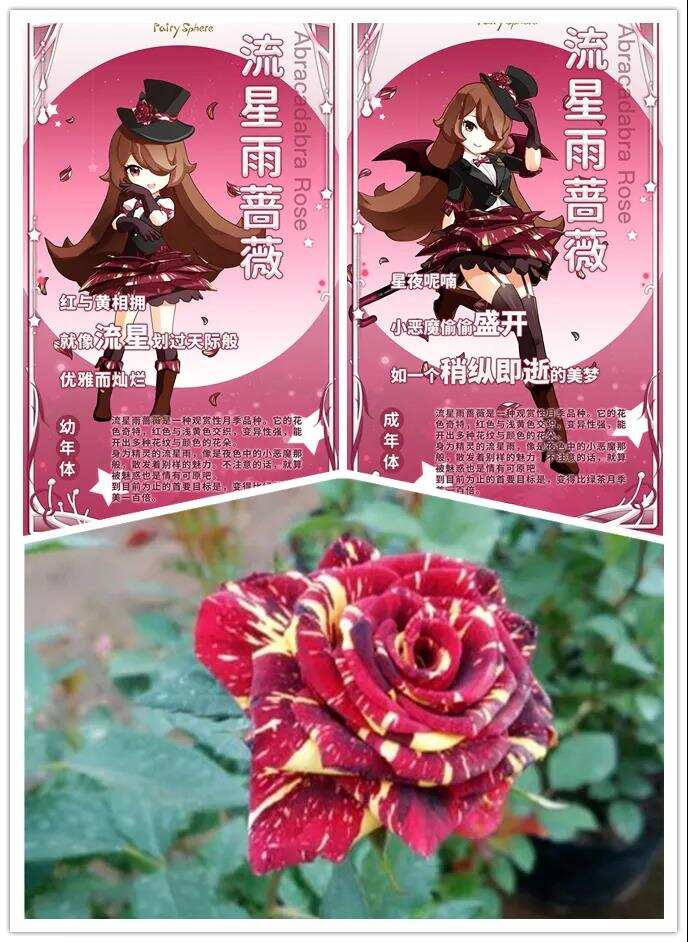 新游观察丨《精灵之境》日本上线勇夺游戏榜Top3 治愈之风能否再掀“她”游戏浪潮