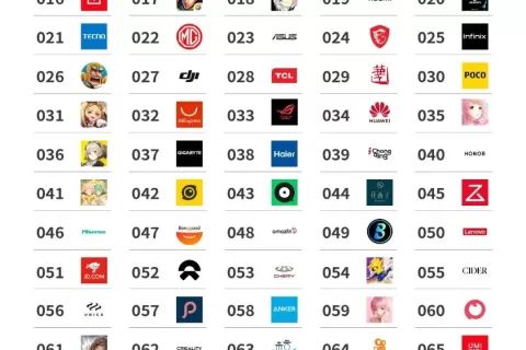 2021Q4出海品牌Top100榜单 ：谁是你最值得聚焦的“友商” OR 大客户 （附白皮书下载）