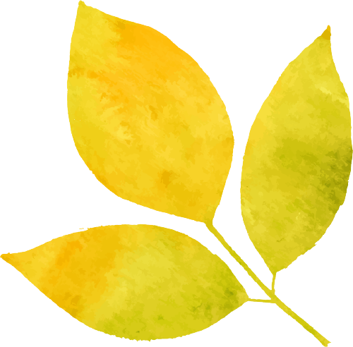 精彩瞬间回顾丨GICC海外企业参访雅加达站 看见更多元的世界