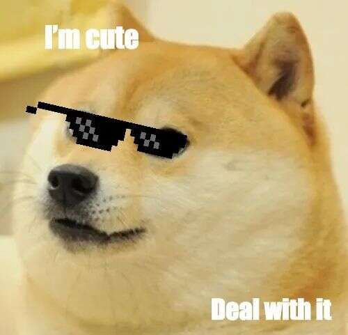 “梗百科”梦碎乌托邦 这个千亿UGC赛道为什么没人敢做？