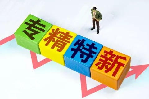 CEO锦囊之《专精时氪》｜专精特新企业出海正当时？