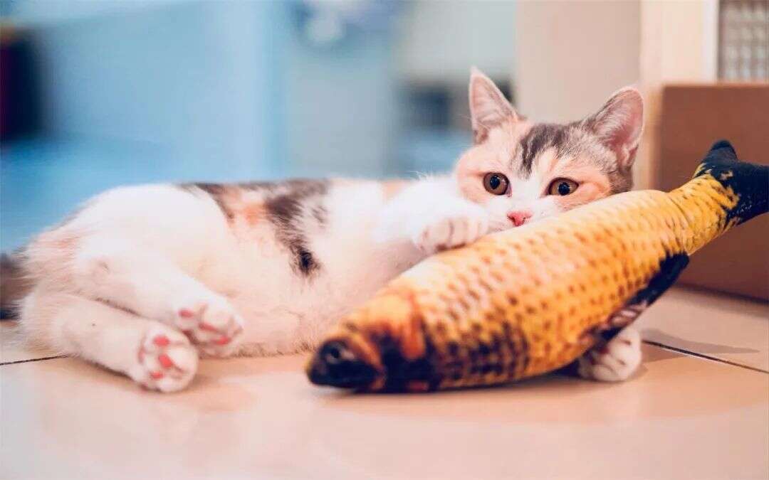 私域神器周报 No.41丨B站2022年亏损75亿 OpenAI开放ChatGPT API