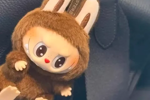 60美元抢购，399美元炒卖：Labubu，全球年轻人疯抢的“中国奢侈品挂件”