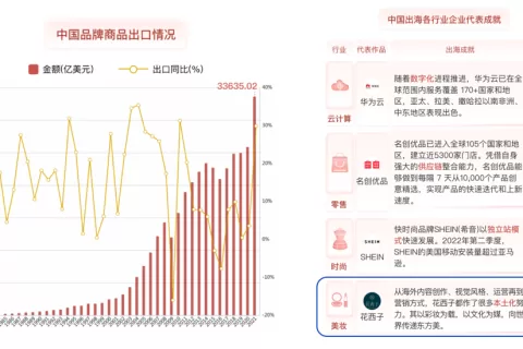 海外掘金路漫漫，彩妆出海成果几何