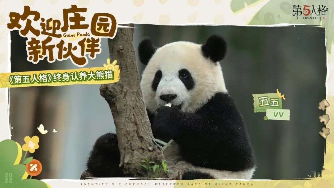 网易搏一把“小众赛道”，却让3亿玩家疯追了五年