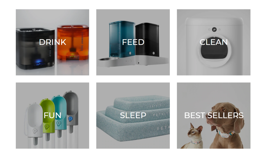 宠物赛道，他跑出年销5亿的速度