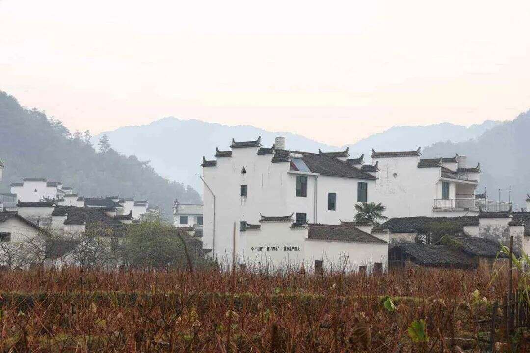 库洛游戏《鸣潮》：一场废土开放世界的独特冒险