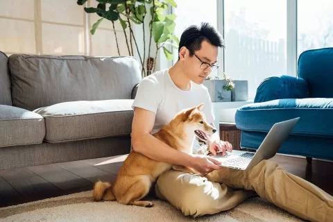 功能又升级——Facebook自动应用广告效果对比和两大全新功能！
